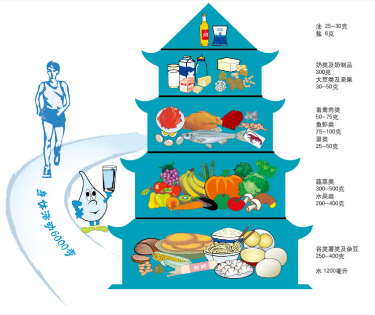 膳食宝塔》就是将五大类食物合理搭配,构成符合我国居民营养需要的