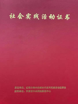 红领巾眼中的新时代系列实践活动组委会