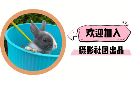 摄影社